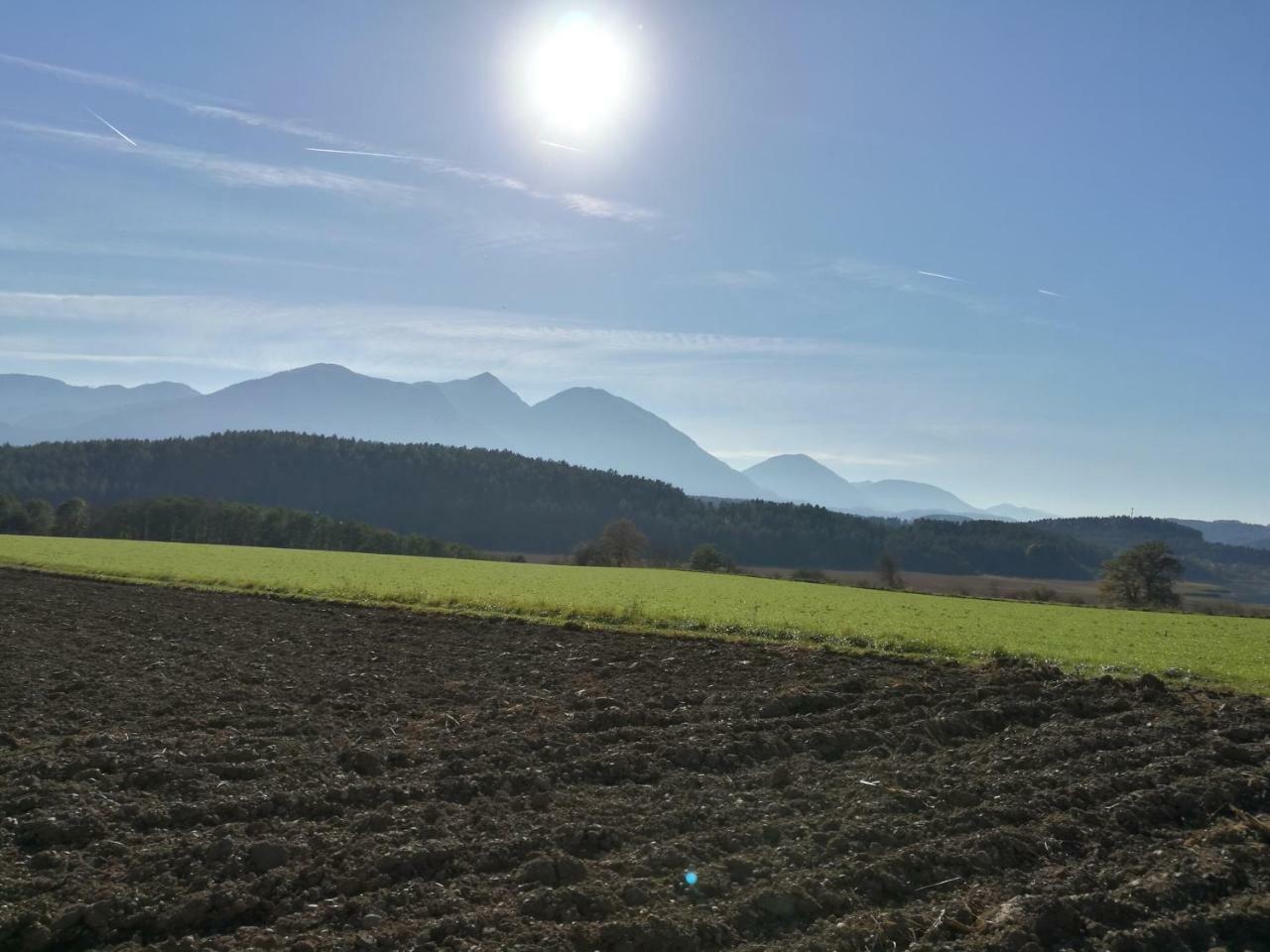 Landgasthof Piroutz Sankt Kanzian am Klopeiner See Exteriér fotografie